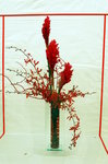 flower2008-135