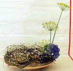flower2008-141