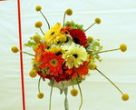 flower2008-142