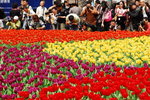 flower2008-159