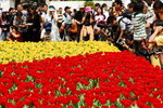 flower2008-2