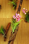 flower2008-50