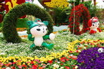 flower2008-89