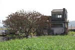 IMG_1440