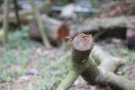 IMG_5035