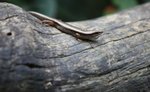 IMG_5144