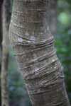 IMG_5161