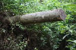 IMG_5165