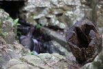 IMG_5182