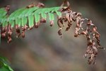 IMG_5257