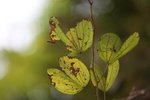 IMG_5259
