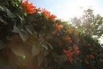 IMG_0201