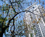 入秋, 是天氣?? 還是樓市??