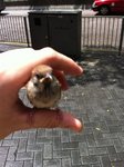照片c