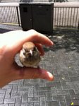 照片d