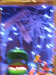 IMG_1007