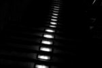 IMG_2809C