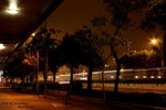 IMG_9265s