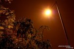 IMG_9277s