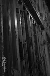 IMG_9283s