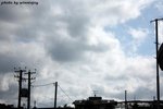IMG_8558s