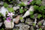 IMG_9293s