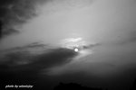 IMG_9306s