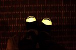 IMG_8808