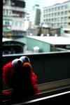 IMG_7650