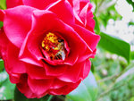 DSCN0268