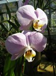 DSCN0280