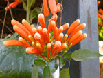 DSCN0317