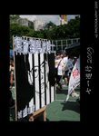DSC_4655-