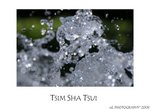 DSC_5212-