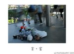 DSC_5303-