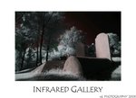 DSC_7452-
