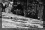 DSC_0003-