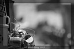 DSC_0016-