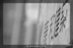 DSC_0031-