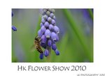 DSC_8368-