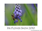 DSC_8369-