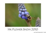 DSC_8372-