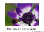 DSC_8389-