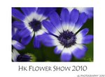 DSC_8402-