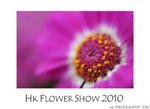 DSC_8417-