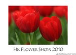 DSC_8470-