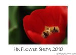DSC_8495-
