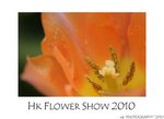 DSC_8515-