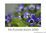 DSC_8665-