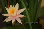 DSC_2750-